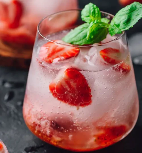 16693-16689-strawberry-gin-fizz-web